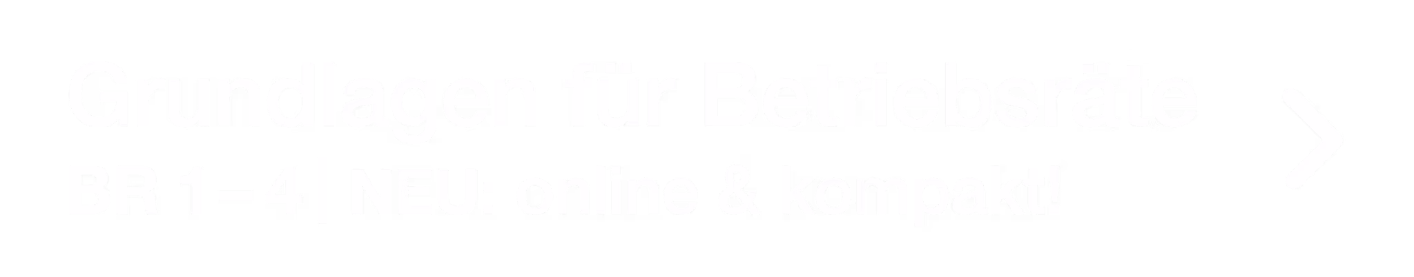 Grundlagenseminare BR 1, Betriebsratsseminare